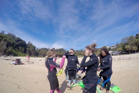 Manly And Shelly Beach Snorkeling Tour - Accommodation Perth 5