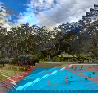 Tahune Airwalk Active Day Trip from Hobart Including Hastings Caves - Accommodation Perth