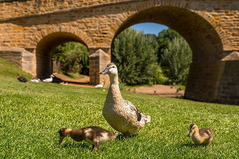 Richmond Historic Afternoon Tour From Hobart - Accommodation Perth 1