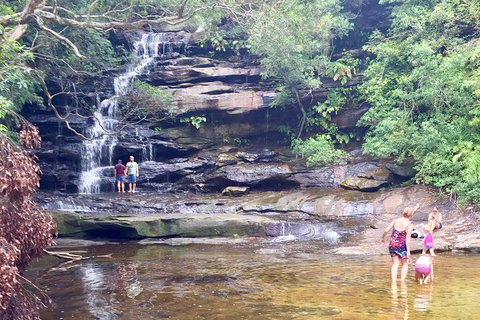 Central Coast Private Tour From Sydney, With Australian Reptile Park Option - Accommodation Perth 0