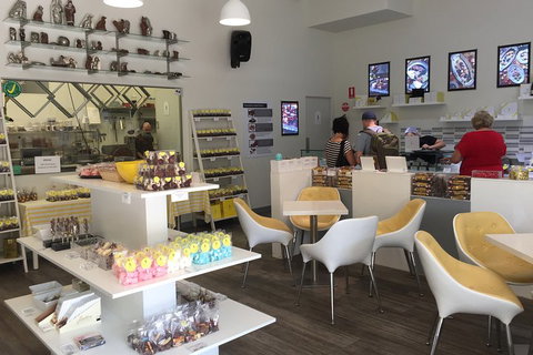 Central Coast Private Tour From Sydney, With Australian Reptile Park Option - Accommodation Perth 1