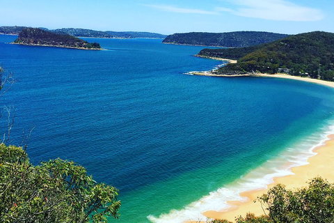 Central Coast Private Tour From Sydney, With Australian Reptile Park Option - Accommodation Perth 5