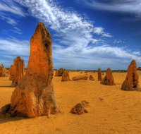 Pinnacles Desert  New Norcia Day Tour from Perth