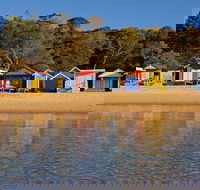 Mornington Peninsula Small Group day tour - Accommodation Perth