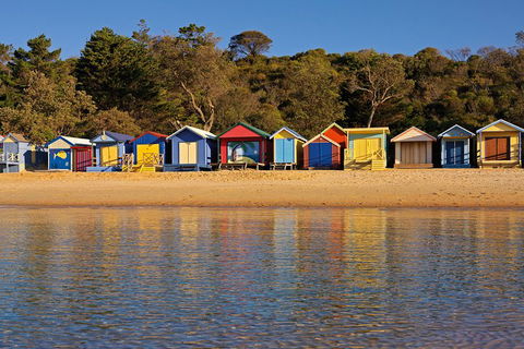 Mornington Peninsula Small Group Day Tour - Accommodation Perth 0