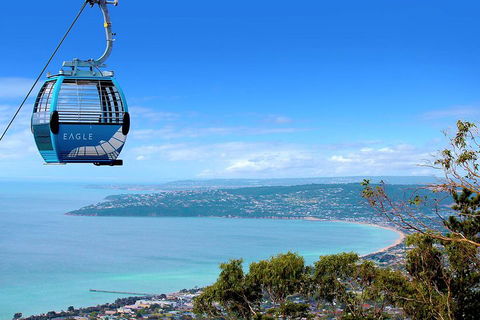 Mornington Peninsula Small Group Day Tour - Accommodation Perth 2