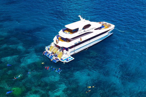 Great Barrier Reef Snorkeling And Diving Cruise From Cairns - Accommodation Perth 5