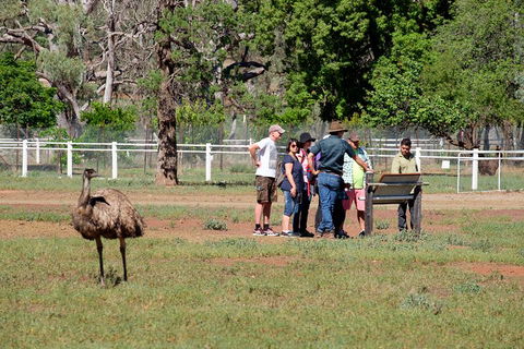 Yura Udnyu - Our Culture, Your Culture (Aboriginal Cultural Walk) - Accommodation Perth 1
