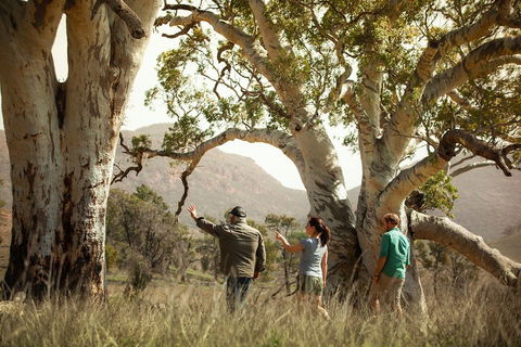 Yura Udnyu - Our Culture, Your Culture (Aboriginal Cultural Walk) - Accommodation Perth 5