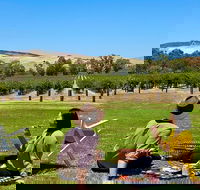 Private Picnic and Wine Tasting Experience in Barossa Valley - Accommodation Perth