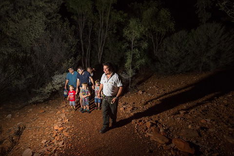 Alice Springs Desert Park Nocturnal Tour - Accommodation Perth 0