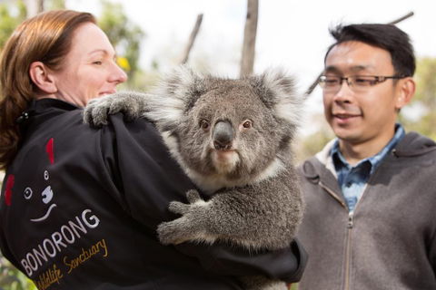 Bonorong Wildlife Park And Richmond Afternoon Tour From Hobart - Accommodation Perth 0