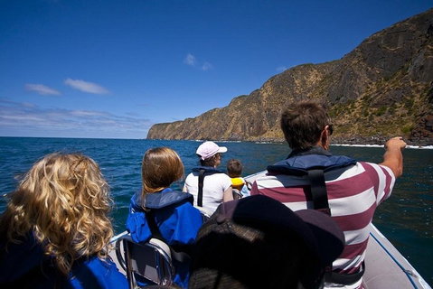 Seal Island Boat Tour From Victor Harbor - Accommodation Perth 0