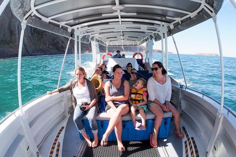 Seal Island Boat Tour From Victor Harbor - Accommodation Perth 1
