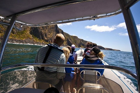 Seal Island Boat Tour From Victor Harbor - Accommodation Perth 2