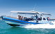 Seal Island Boat Tour From Victor Harbor - thumb 3