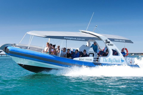Seal Island Boat Tour From Victor Harbor - Accommodation Perth 3