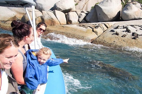 Seal Island Boat Tour From Victor Harbor - Accommodation Perth 4
