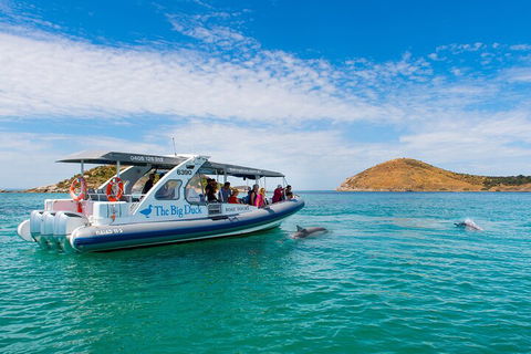 Southern Ocean Adventure From Victor Harbor - Accommodation Perth 1