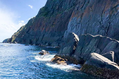 Southern Ocean Adventure From Victor Harbor - Accommodation Perth 3