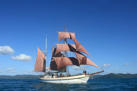 Sydney Harbour Tall Ship Whale & Sail - Whale Watching Cruise - Accommodation Perth 1