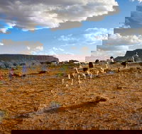 Mount Conner 4WD Small Group Tour from Ayers Rock including Dinner - Accommodation Perth