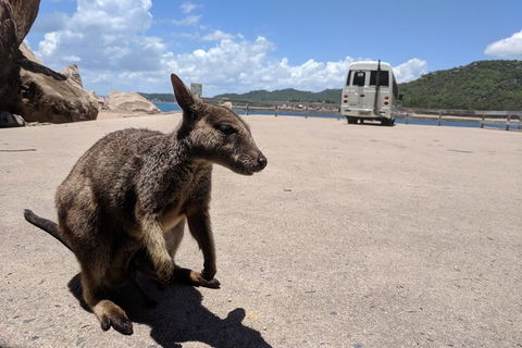 Magnetic Island Tour: Maggie Comprehensive - Accommodation Perth 0