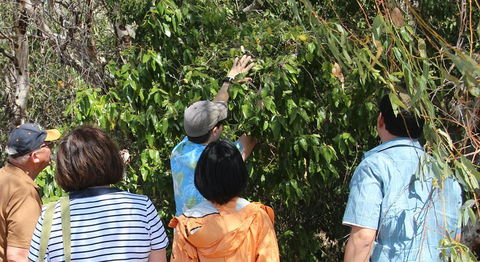 Magnetic Island Tour: Maggie Comprehensive - Accommodation Perth 4