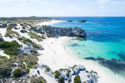 Discover Rottnest With Ferry & Bus Tour From Perth Or Fremantle - Perth Resorts 5