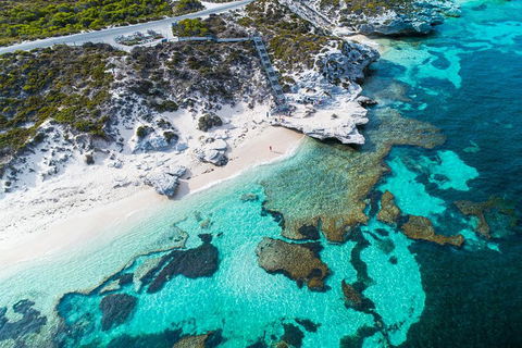 Rottnest Island Round-Trip Ferry From Perth Or Fremantle - Accommodation Perth 0