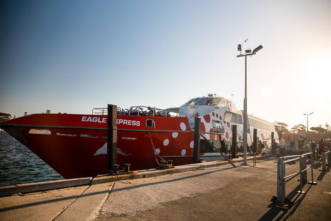 Rottnest Island Round-Trip Ferry From Perth Or Fremantle - Accommodation Perth 2