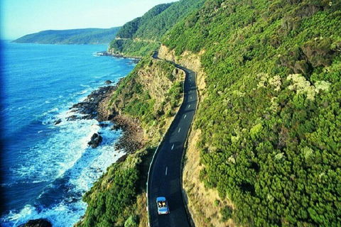 Melbourne Super Saver: Great Ocean Road + Mornington Peninsula + Attraction Pass - Accommodation Perth 0