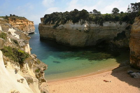 Melbourne Super Saver: Great Ocean Road + Mornington Peninsula + Attraction Pass - Accommodation Perth 3