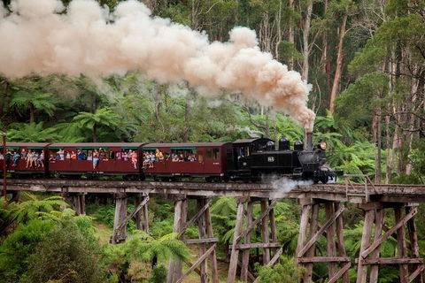 Melbourne Combo: Great Ocean Road, Puffing Billy, Moonlit Sanctuary & Penguins - Accommodation Perth 1