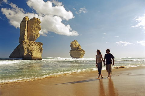 Melbourne Combo: Great Ocean Road, Puffing Billy, Moonlit Sanctuary & Penguins - Accommodation Perth 2