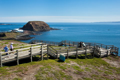 Melbourne Combo: Great Ocean Road, Puffing Billy, Moonlit Sanctuary & Penguins - Accommodation Perth 5