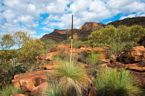 6-Day Eyre Peninsula & Flinders Ranges Adventure Tour - Accommodation Perth 1