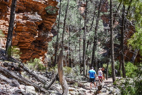 6-Day Eyre Peninsula & Flinders Ranges Adventure Tour - Accommodation Perth 5