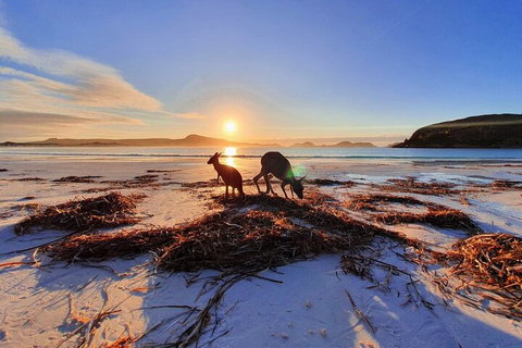 10-Day Perth To Adelaide Adventure Tour - Accommodation Perth 1