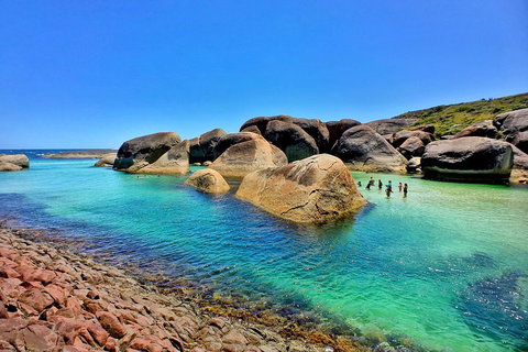 10-Day Perth To Adelaide Adventure Tour - Accommodation Perth 5