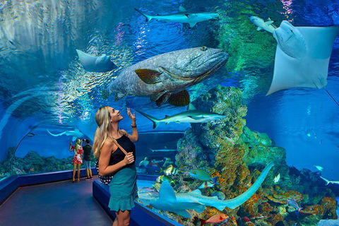 Cairns Aquarium Admission Ticket - Perth Resorts 3