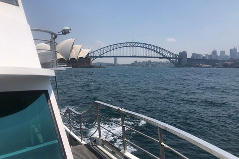 Sydney Harbour Discovery Cruise Including Lunch - Perth Resorts 3
