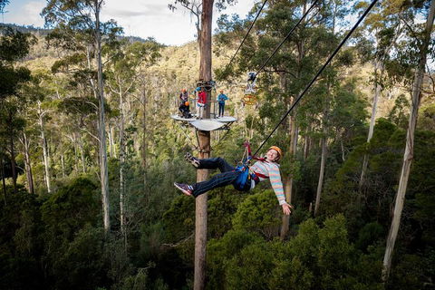 Hollybank Wilderness Adventure - Zipline Tours - Accommodation Perth 0