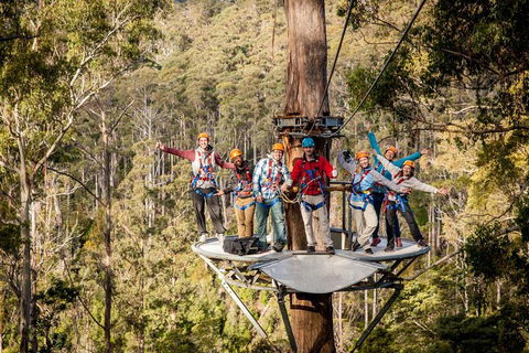 Hollybank Wilderness Adventure - Zipline Tours - Accommodation Perth 1