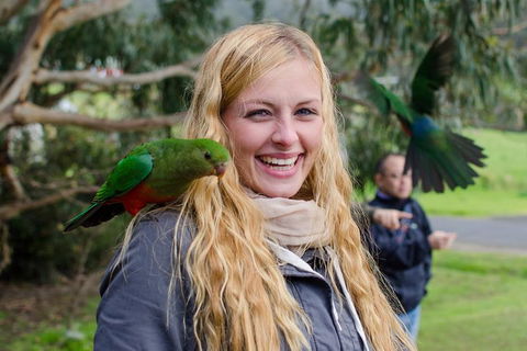 Great Ocean Road Reverse Itinerary With 12 Apostles From Melbourne - Perth Resorts 0