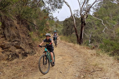 Mount Lofty Descent Bike Tour From Adelaide - Accommodation Perth 0