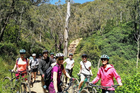 Mount Lofty Descent Bike Tour From Adelaide - Accommodation Perth 5