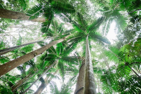 Fraser Explorer K'gari 2-Day Tour - Accommodation Perth 2