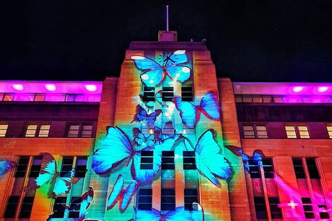 Vivid 90-Minute Sydney Harbour Small Group Catamaran Cruise - Perth Resorts 0