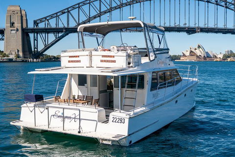 Vivid 90-Minute Sydney Harbour Small Group Catamaran Cruise - Perth Resorts 4